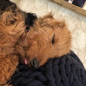 Meet your Posher, Kelley